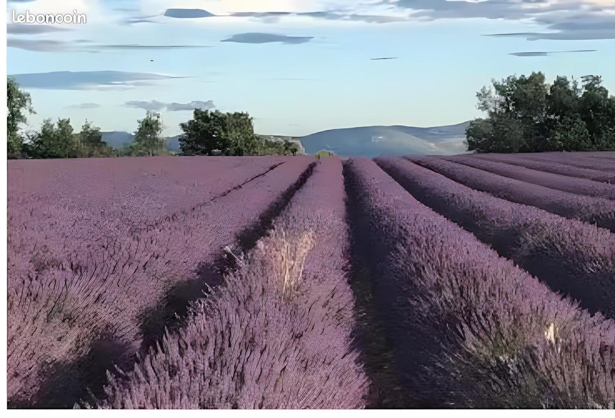 Bastide La Fondue Lejlighed Allemagne-en-Provence Eksteriør billede